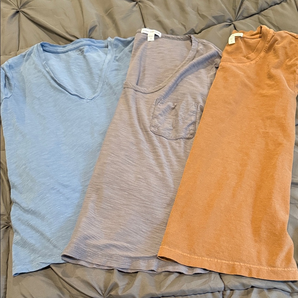 James Perse Tan and gray T-Shirt bundle with blue Madewell
